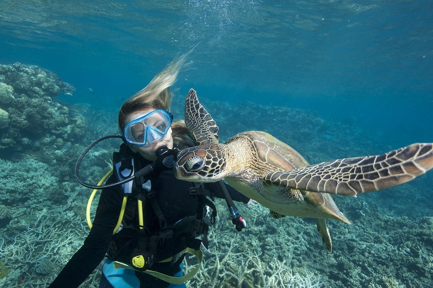 How to Become a Marine Biologist